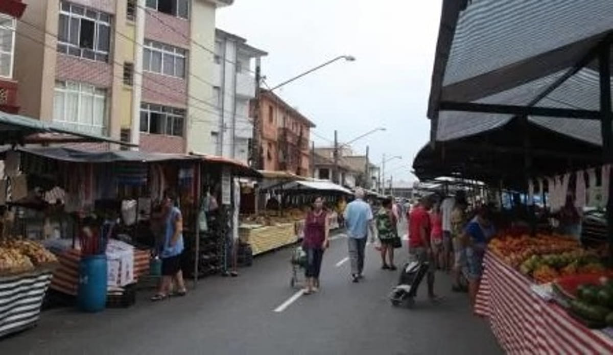 No auge de seu potencial produtivo, as plantas também exigem menos cuidados do produtor rural
