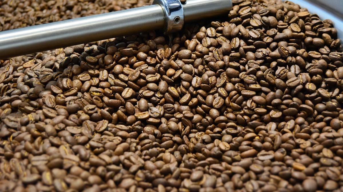 A lentilha vai muito além da tradição