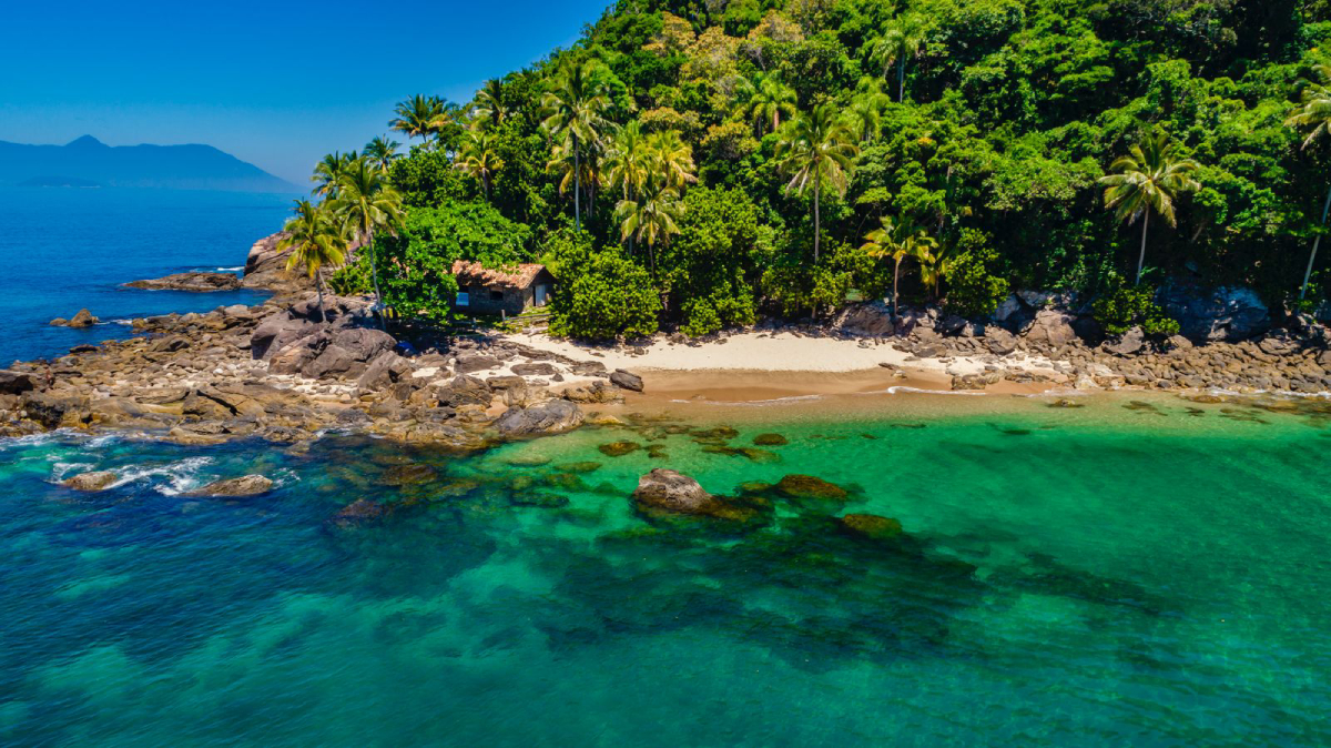 A expectativa é que esses produtos sejam lançados ainda no primeiro trimestre de 2025