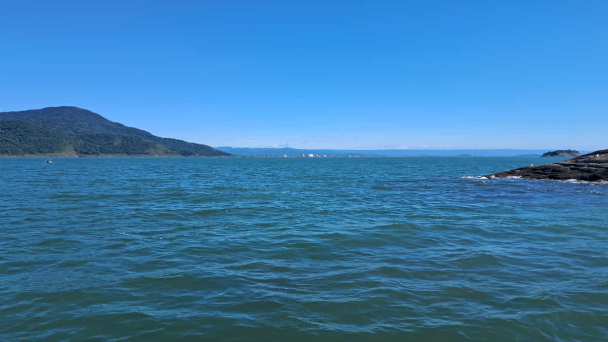 Consumidores devem ficar atentos para adquirirem moluscos bivalves com Serviço de Inspeção Oficial