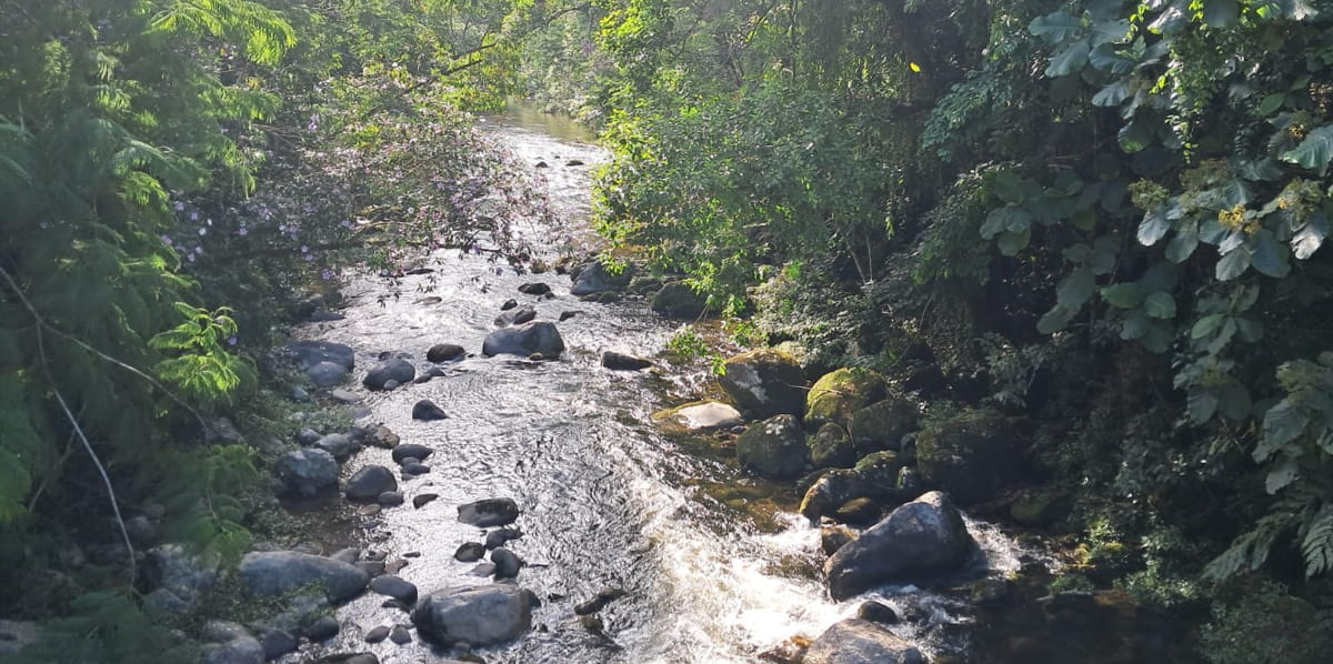 O Rio do Peixe vai te fazendo companhia correndo lado a lado com você e, às vezes ele descansa em piscinas naturais abertas