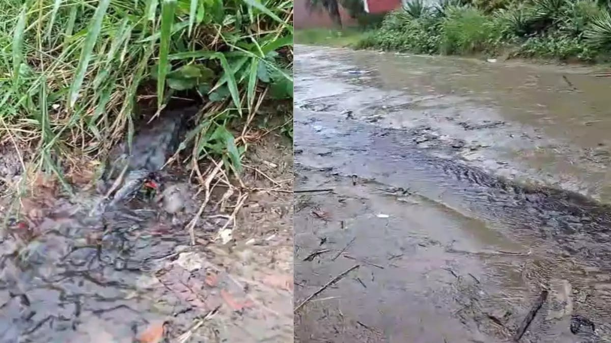 População alega que descarte irregular está prejudicando o dia a dia e comércio local