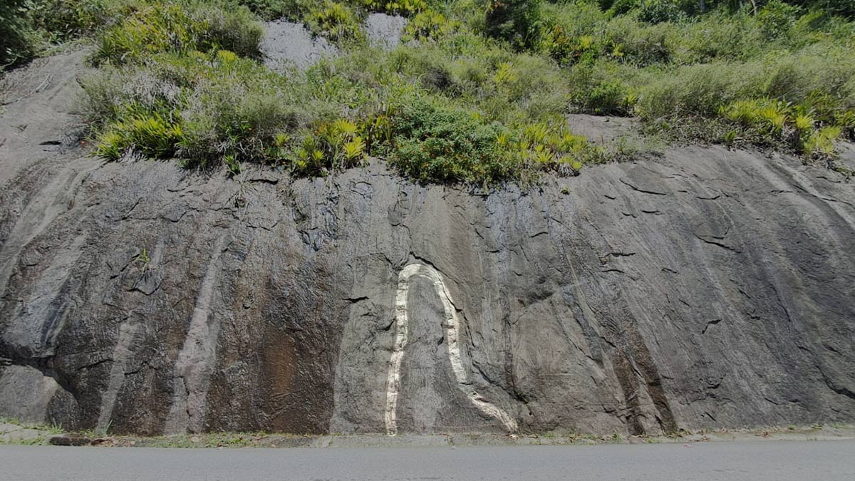 A história começou pelos antigos, que vendiam pescados (principalmente) em Peruíbe e voltavam com as compras