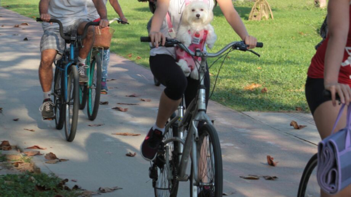 Atualmente, a obrigatoriedade do uso de retrovisor nas bicicletas no Brasil ainda está em vigor
