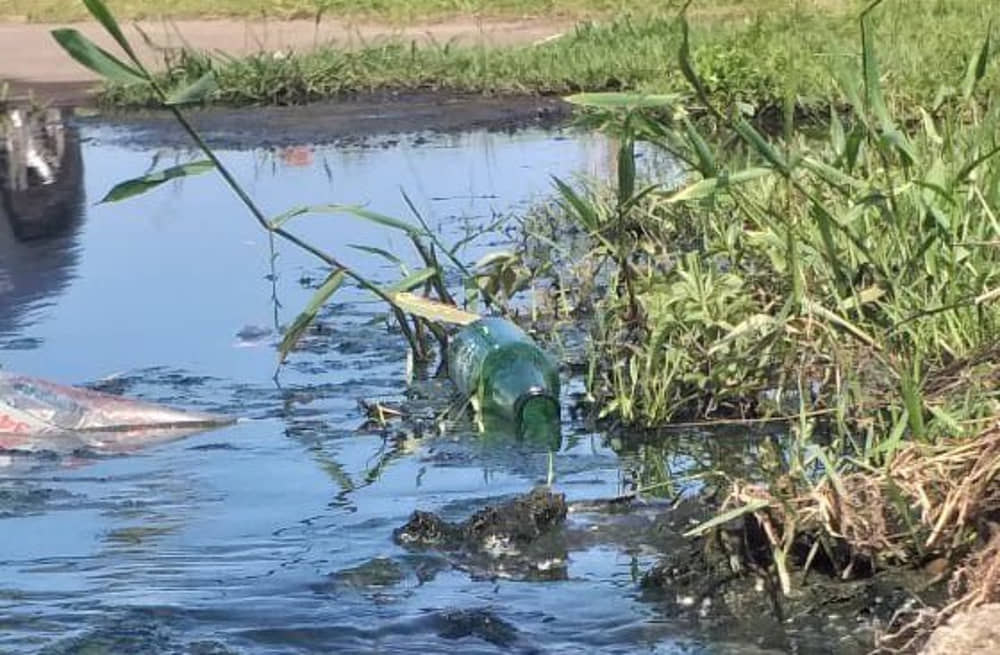 A Prefeitura vai multar a Sabesp por despejar esgoto em vários pontos das praias