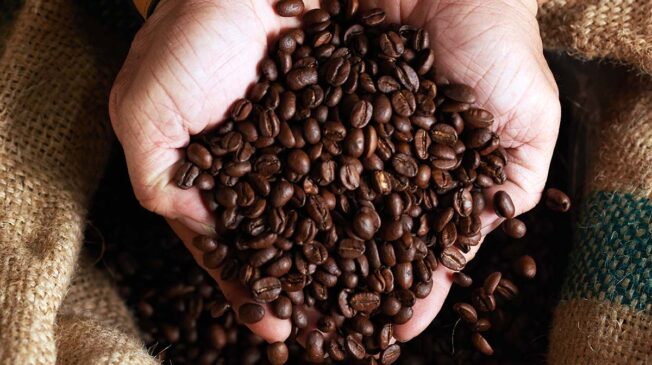 O 'café fake' está invadindo o País