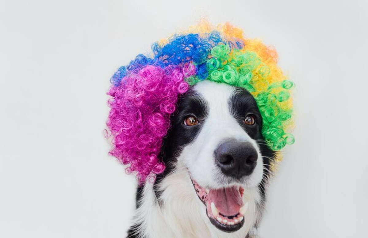 Praiamar Shopping promove 'CarnaAU' no próximo fim de semana