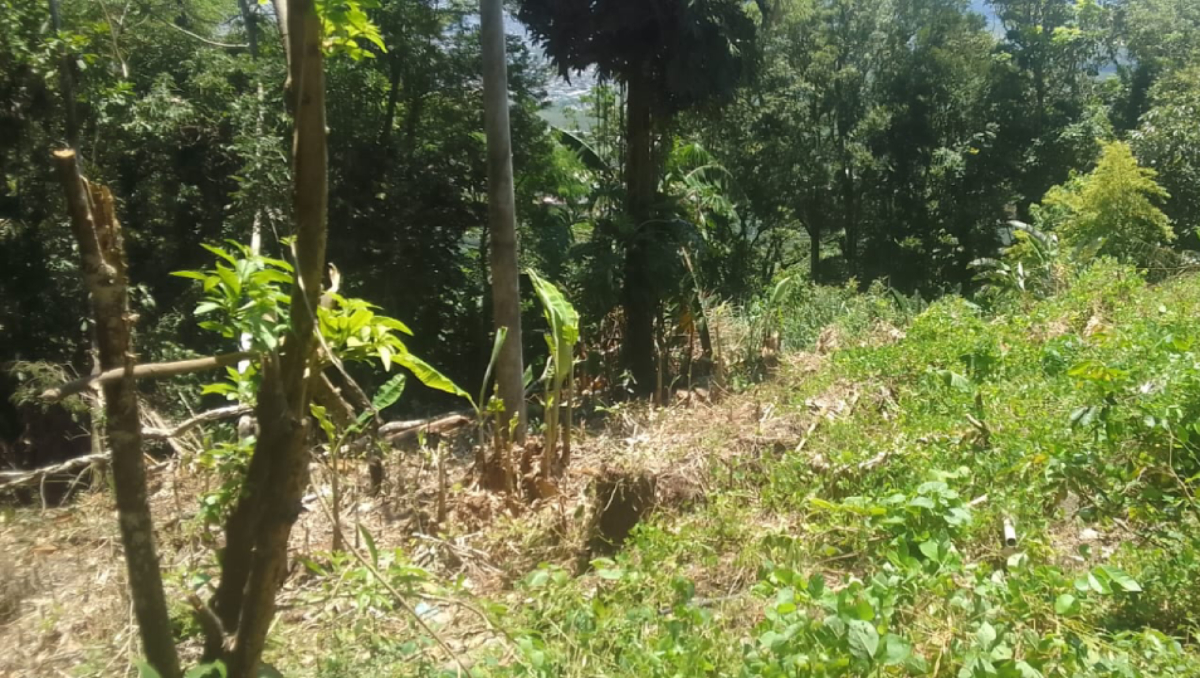 A própria Autoridade Portuária resolveu contratar um perito para avaliar se o valor de R$ 54