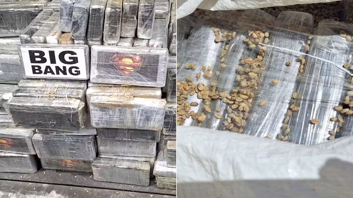 Receita Federal realizou apreensão na última terça-feira (11), no Porto de Santos