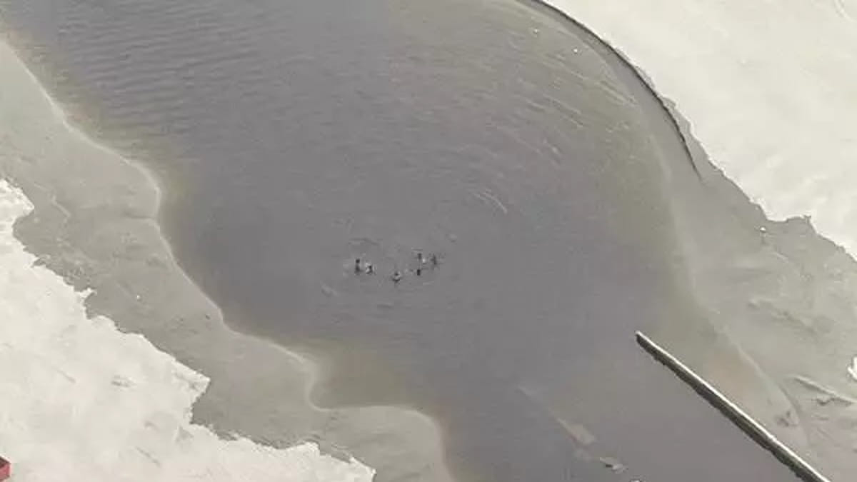 Praia do litoral de São Paulo está sofrendo com a situação há mais de 30 dias