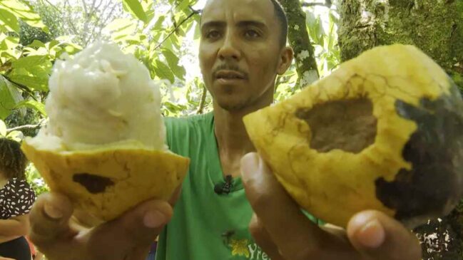 Reprodução/TV Brasil