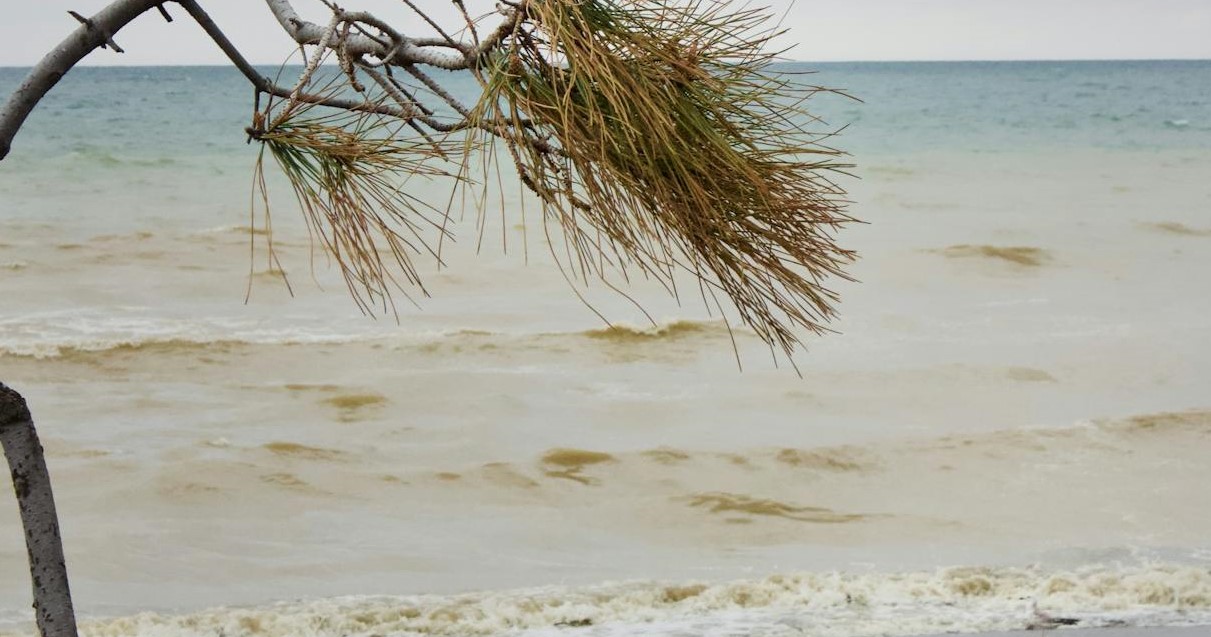 Fim do La Niña trará mudanças climáticas ao Brasil nos próximos meses