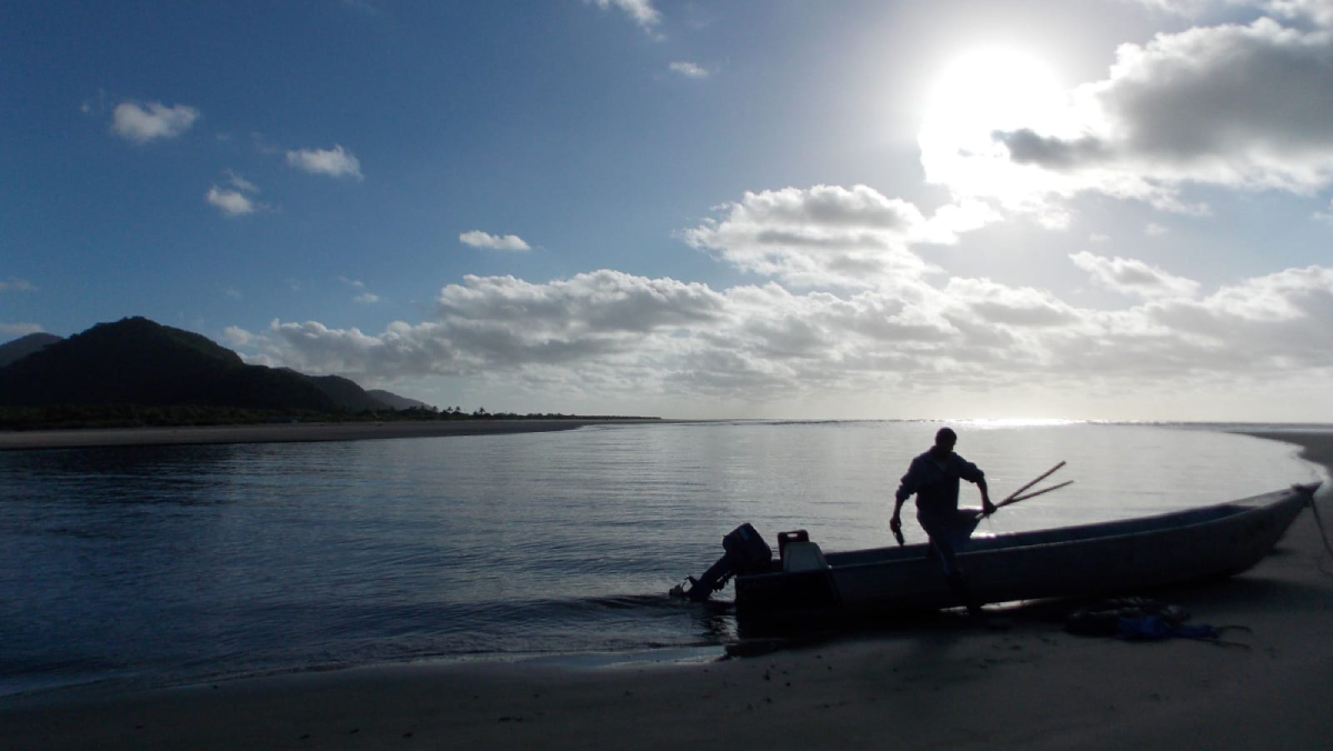 Se você está pensando em fazer qualquer homenagem, põe o pé no freio aí