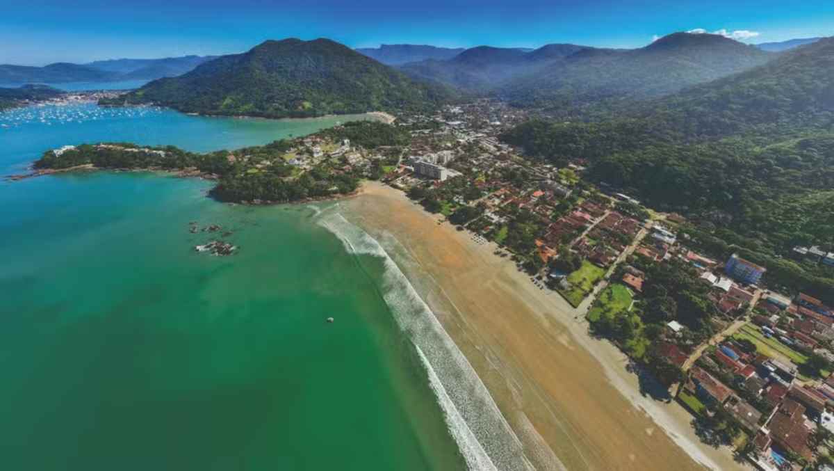 Isso significa que a presença desses componentes químicos afeta todo o ecossistema marinho