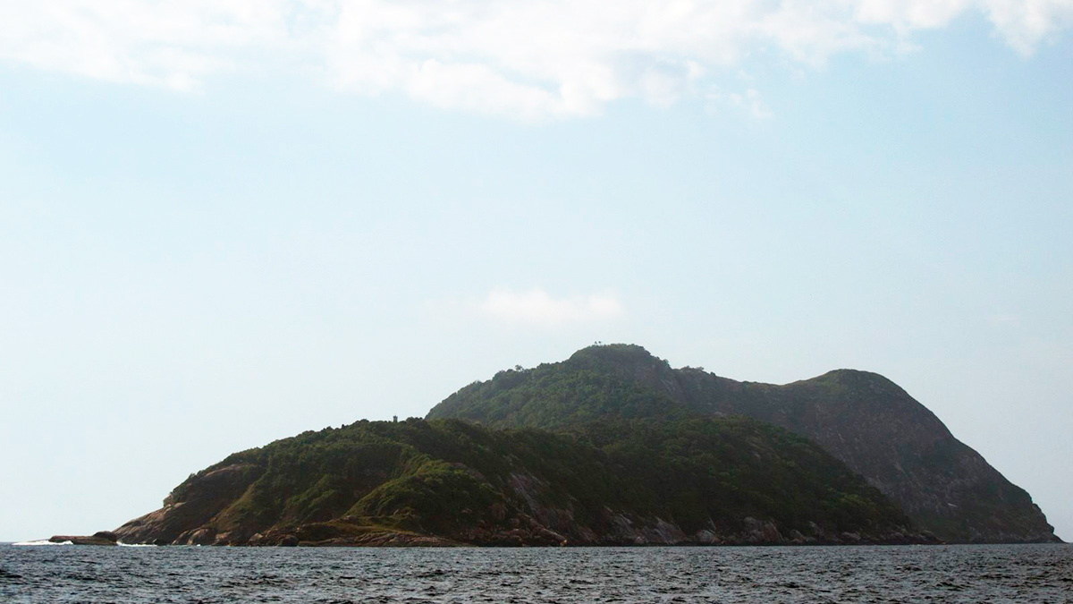 A ideia é aliar bem-estar animal com conservação e educação ambiental