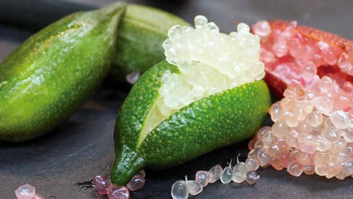 Limão-caviar (Citrus Australasica) é assim chamado por que guarda em seu interior pequenas esferas que lembram ovas de peixe