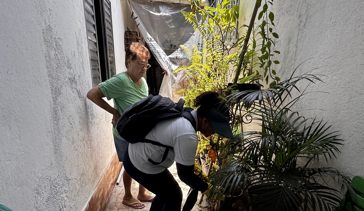 Resultado é atribuído às intensas ações da Prefeitura no combate ao mosquito Aedes aegypti