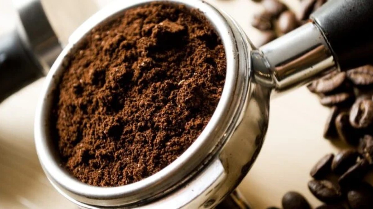 Neste ano, marcas como Melissa, Pingo Preto e Oficial também foram proibidas