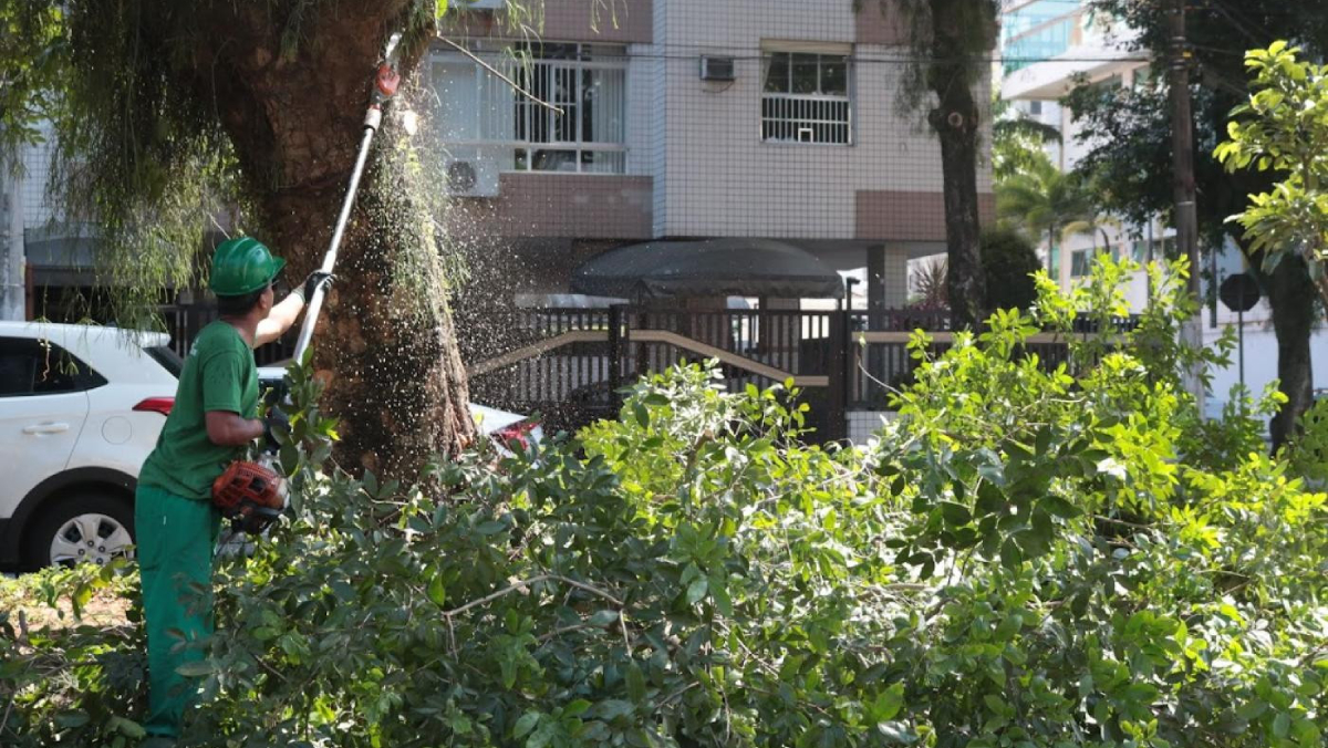 Rui de Rosis Júnior justifica a proposta alegando a garantia do exercício pleno do direito à propriedade privada