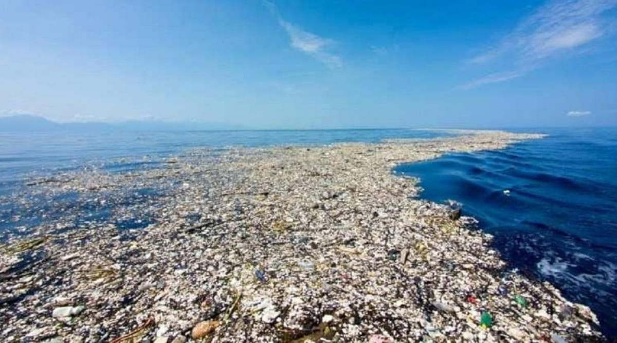A ilha tem 1,8 trilhões de pedaços de plástico flutuantes que, anualmente, matam milhares de animais marinhos entre a Califórnia e o Havaí