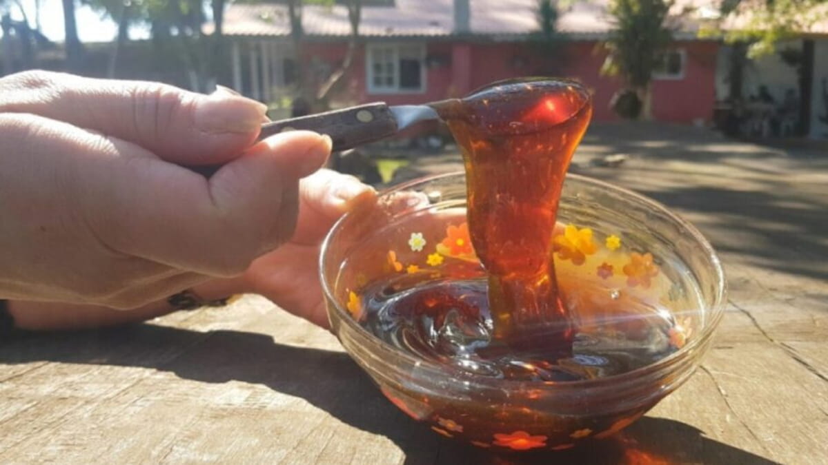 A empresa produz 30 mil toneladas por ano e é considerada a maior exportadora de mel do Brasil