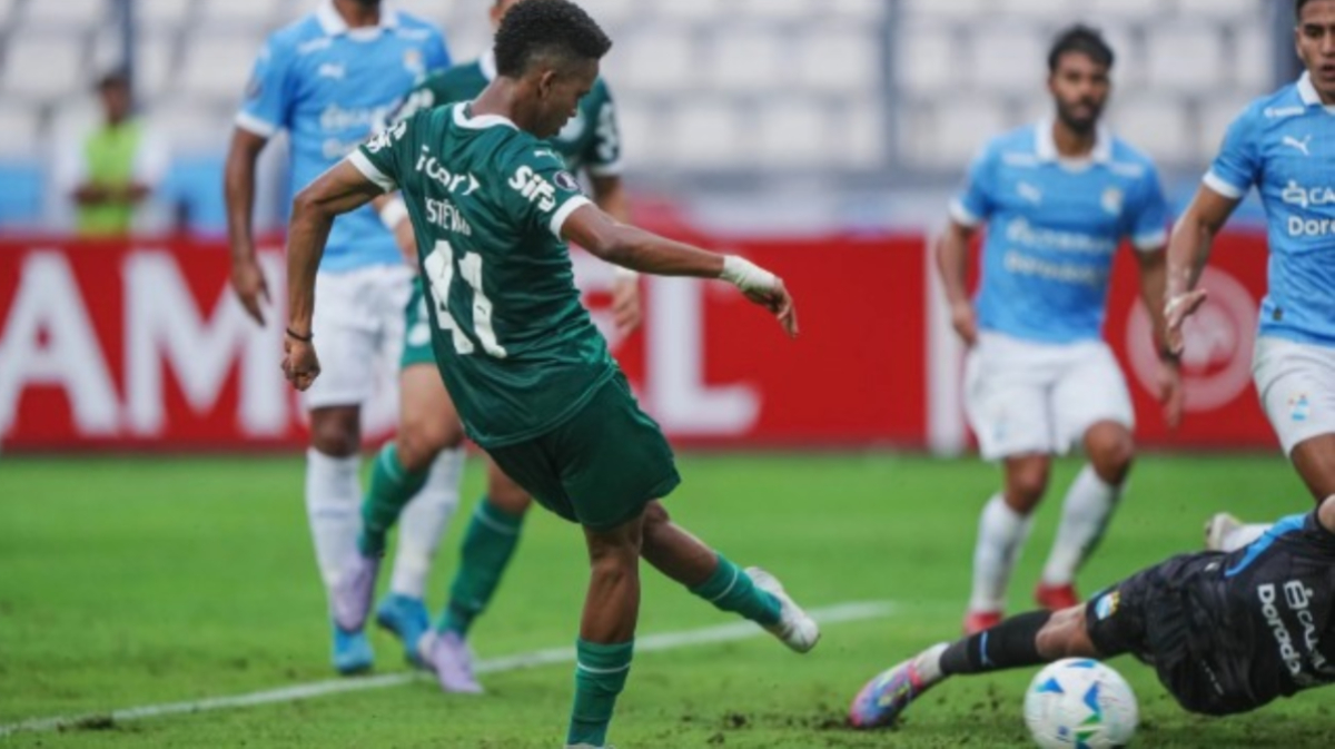 O Palmeiras entrará em campo novamente no próximo domingo (6)