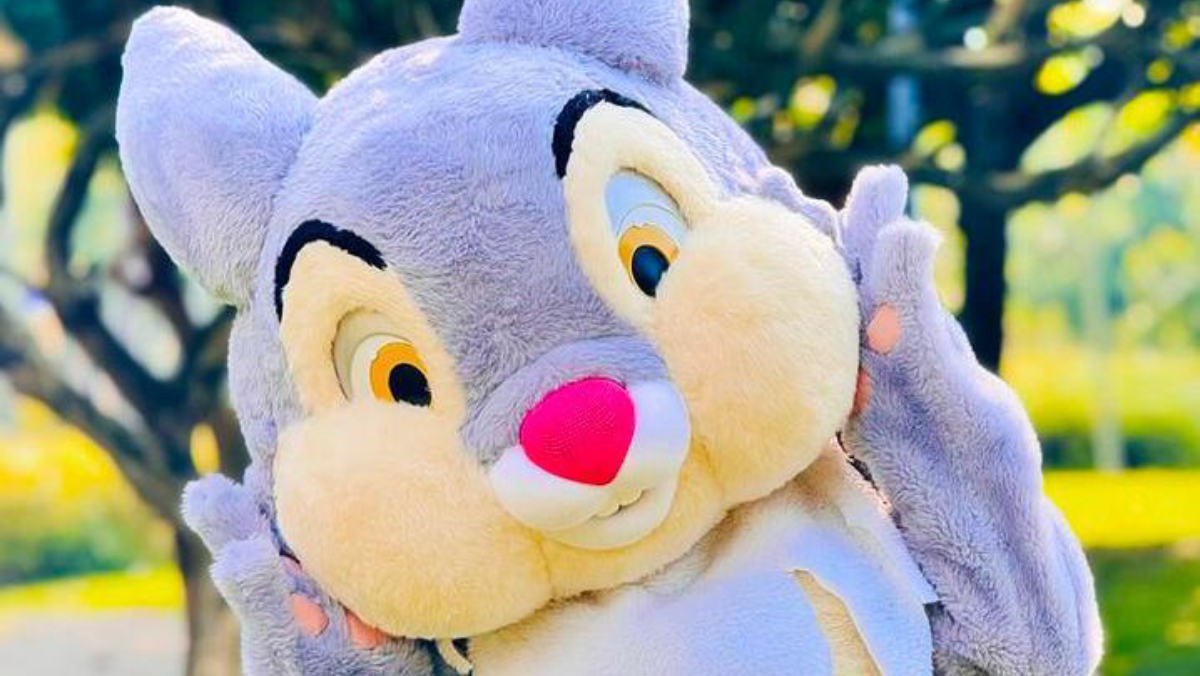 Logo pela manhã, a criançada poderá encontrar o Senhor Coelho