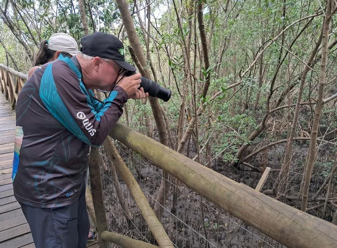 No Brasil, que abriga 18% da diversidade de aves do mundo, o grande destaque é justamente o estado de São Paulo