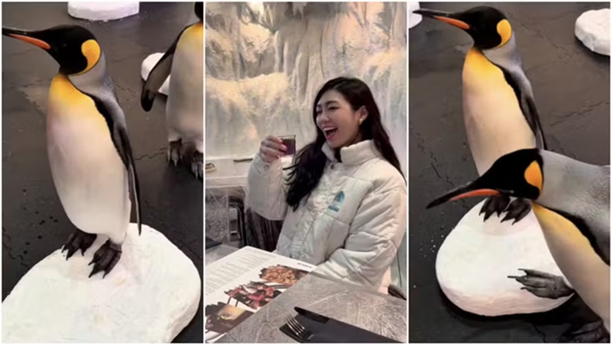 Ski Dubai viralizou nas redes sociais com seu pacote 'Café da Manhã com Pinguins'
