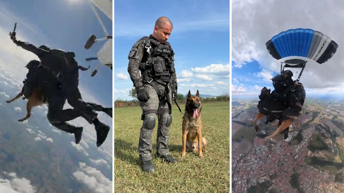 Os equipamentos utilizados pelo cão foram confeccionados de forma personalizada