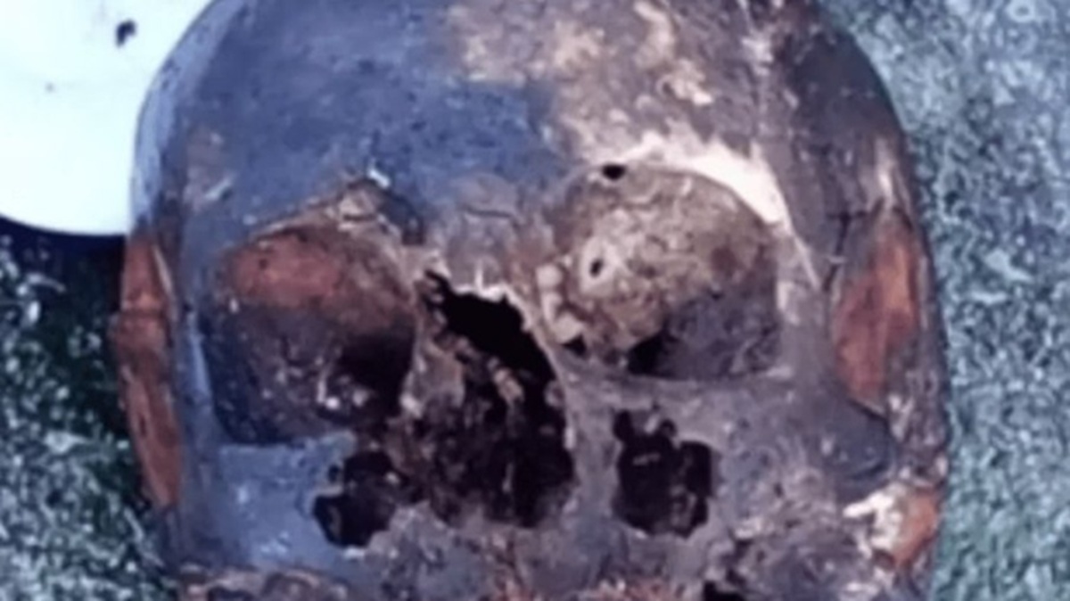 Crânio foi encontrado às margens da Rodovia dos Imigrantes, na altura de Cubatão