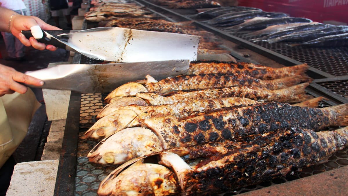 Festa da Tainha promete agitar o município durante 1 mês