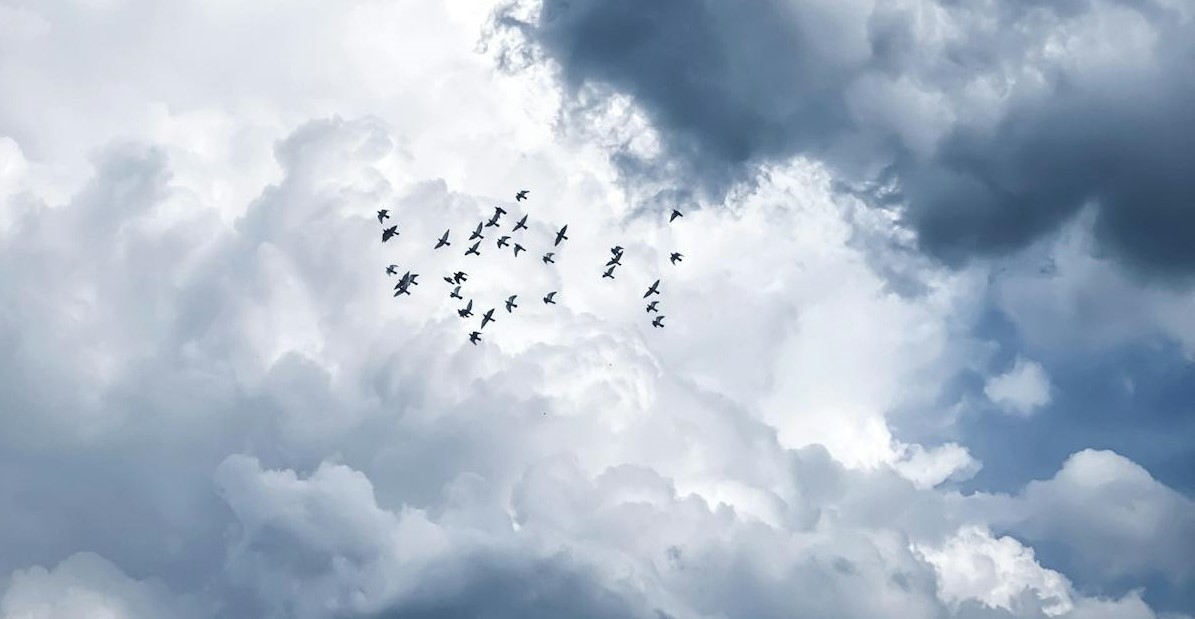 Mudança de tempo se aproxima do litoral de SP com passagem de frente fria