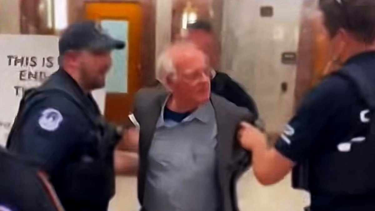 Policiais do Congresso intervieram e conduziram Cohen algemado para fora do local