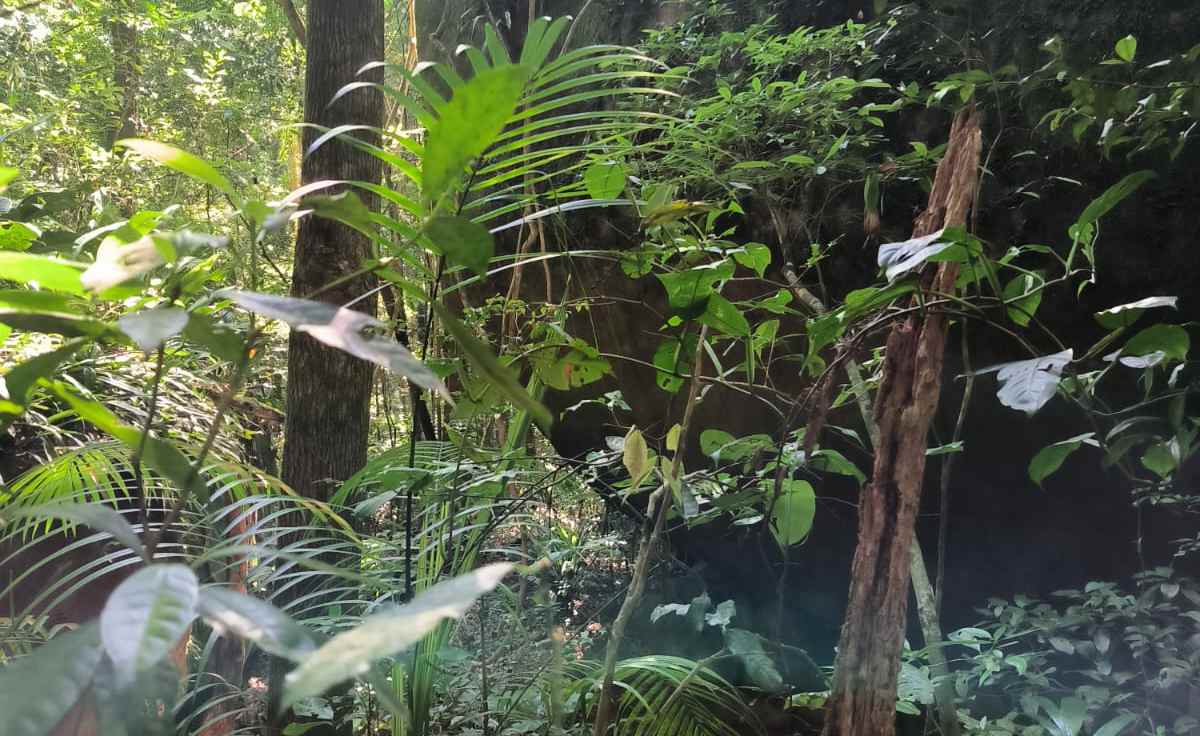 Todo o trajeto foi feito por trilhas, acompanhado de sua cadela de estimação