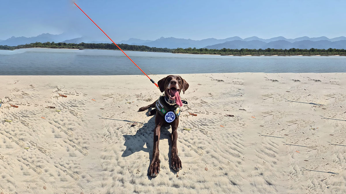 Beth é da Hungria, mas mudou-se para Amsterdã (Holanda) logo cedo e hoje vive em Peruíbe