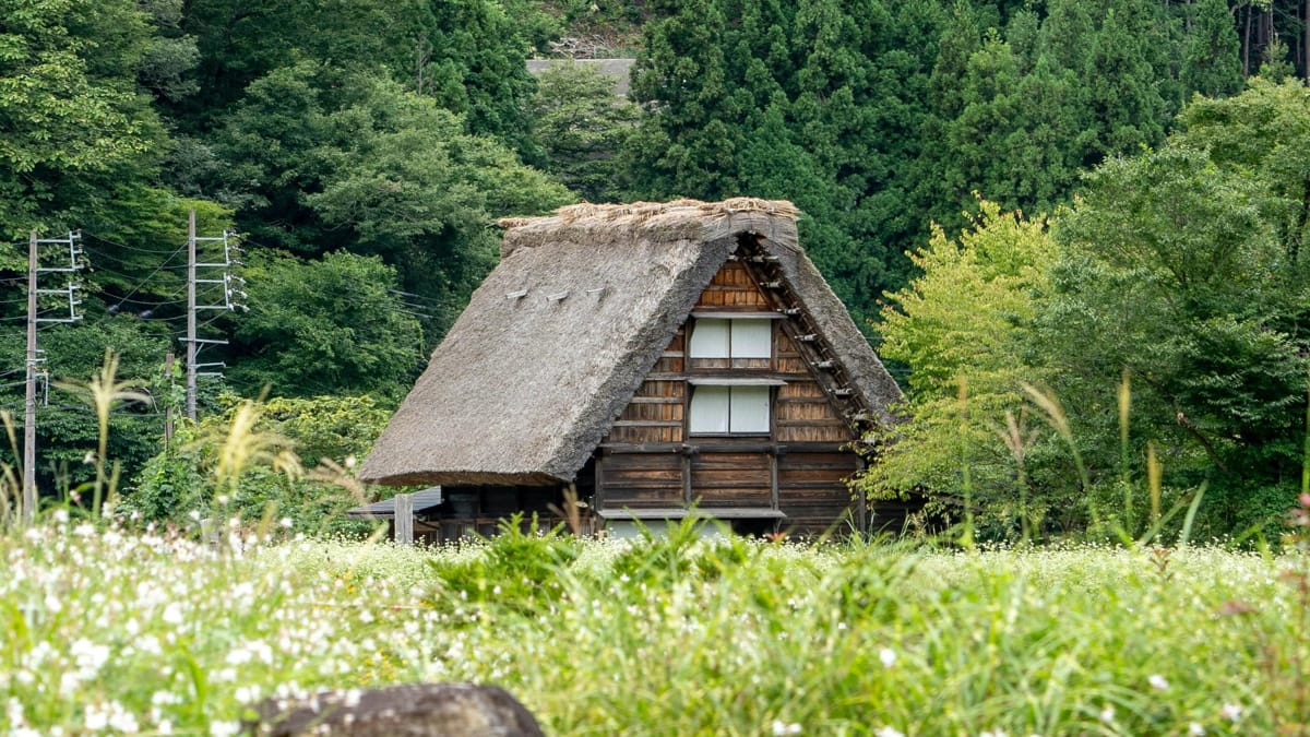 Imagem meramente ilustrativa