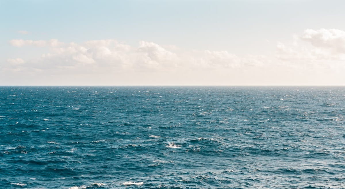 As ondas de calor marinhas afetaram uma área de quase 40 milhões de quilômetros quadrados, mais de 10% da superfície global dos oceanos