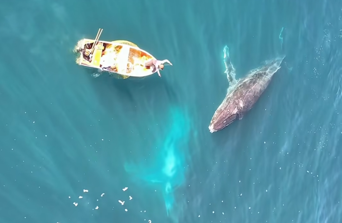 Encontro pode ser visto nesta terça-feira em imagens que viralizaram nas redes sociais, atraindo centenas de comentários