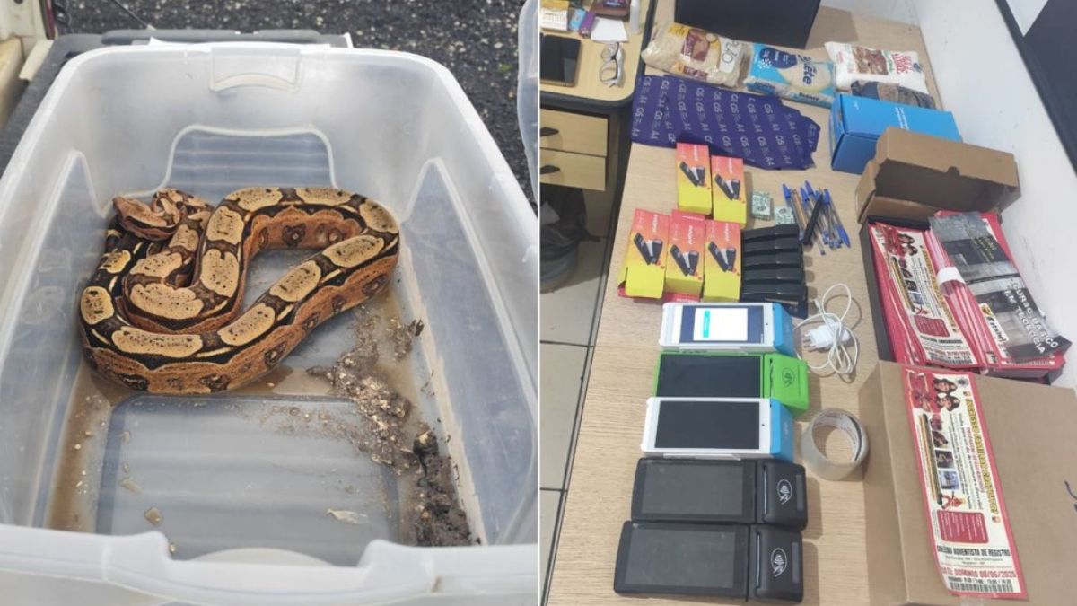 Foram aprendidos panfletos de divulgação, maquininhas de cartão, a jibóia e outros materias