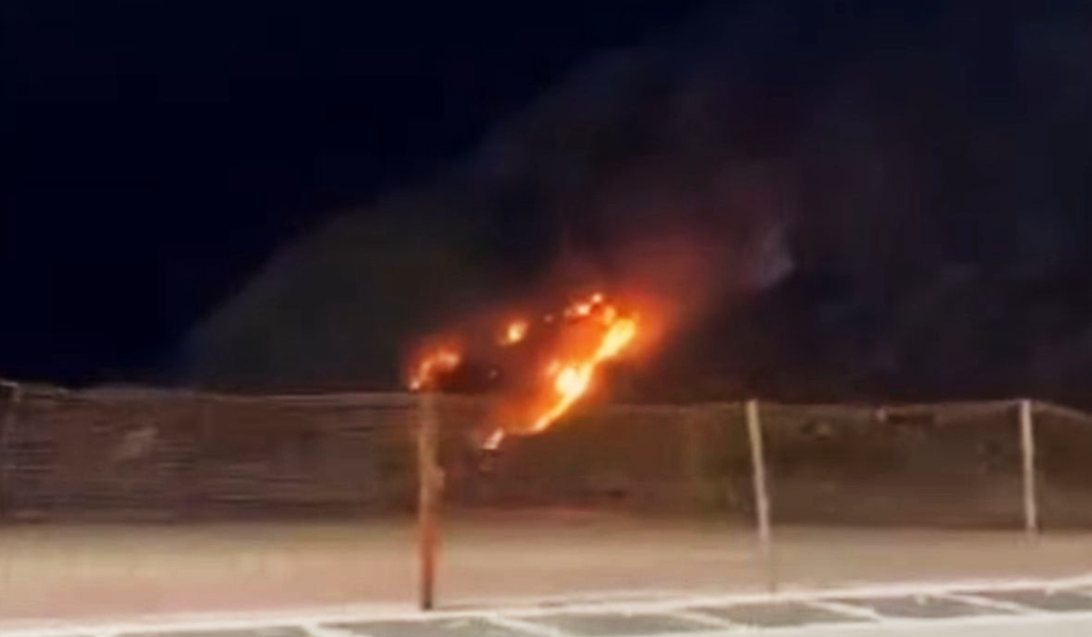 As chamas avançaram com rapidez pela mata