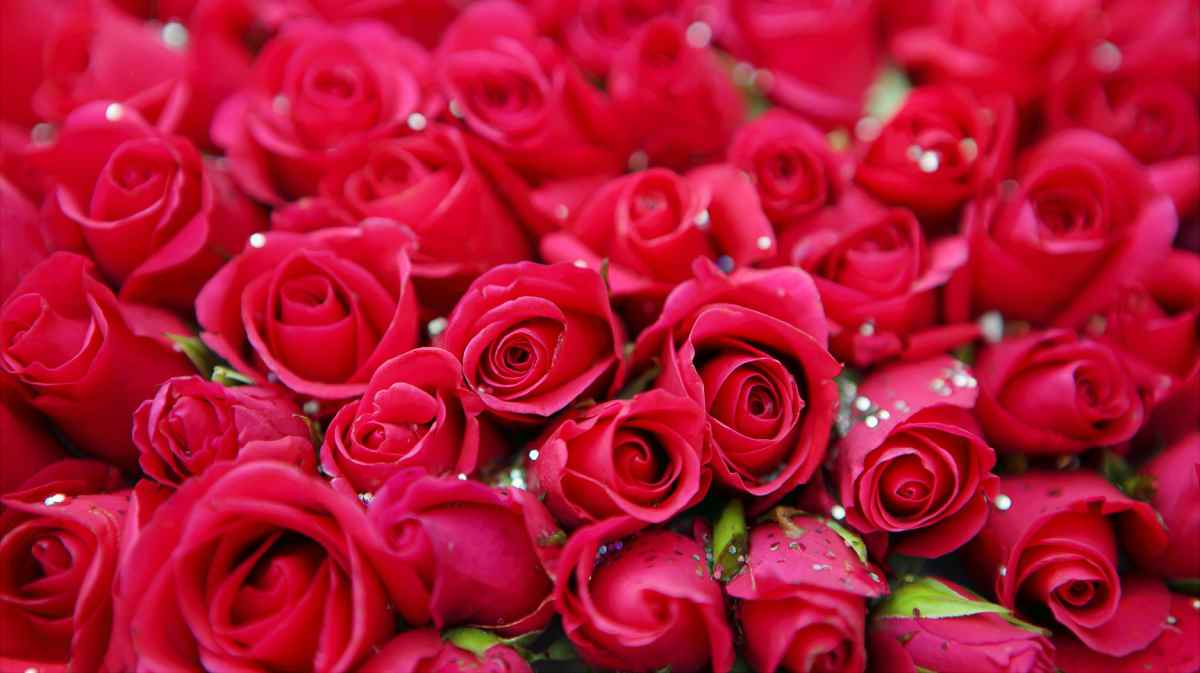 Poucas datas são tão especiais quanto 12 de junho, quando se celebra o Dia dos Namorados no Brasil