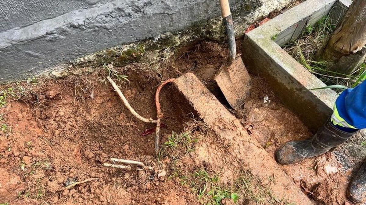 A estimativa é que o consumo furtado geraria um prejuízo anual de cerca de R$ 68 mil