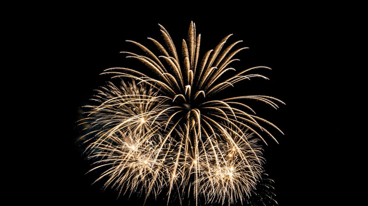 Também ficam permitidos o armazenamento, o transporte e as demais ações logísticas que integrem etapas do processo de comercialização autorizada nos termos da lei