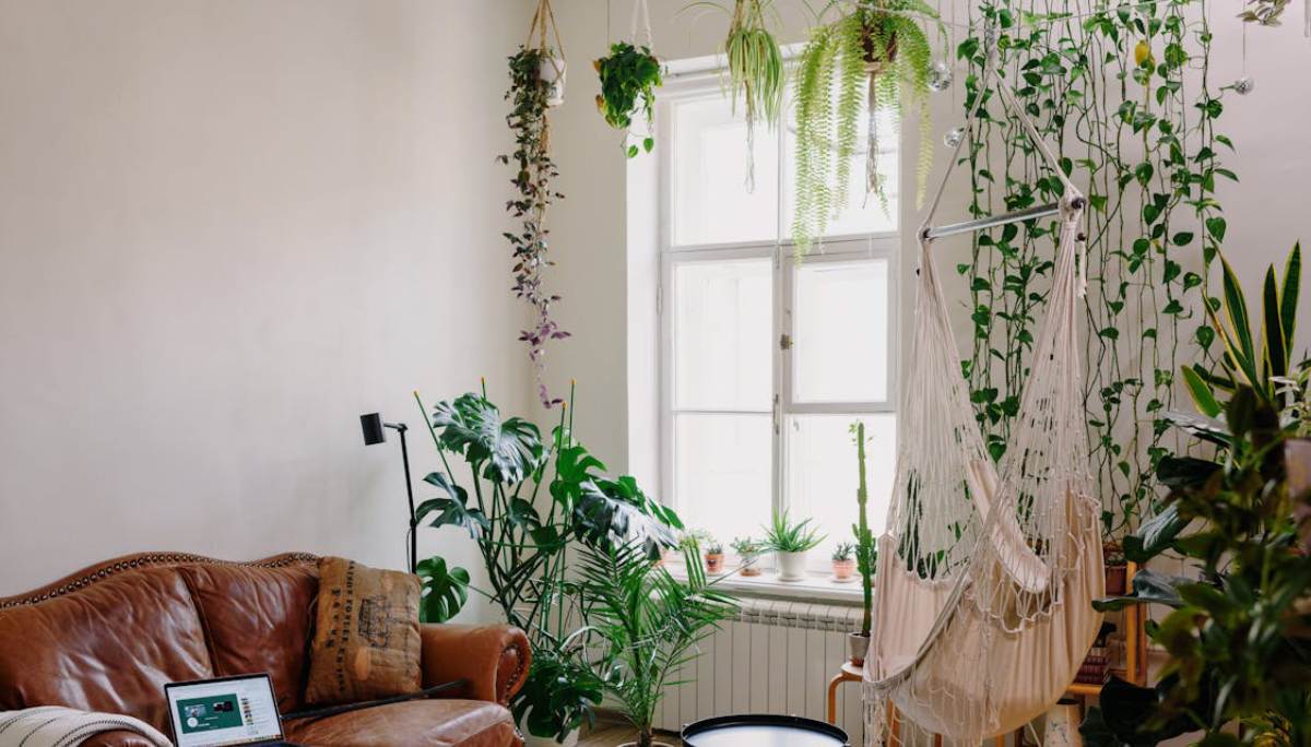 Quais são as plantas mais resistentes para se ter em casa