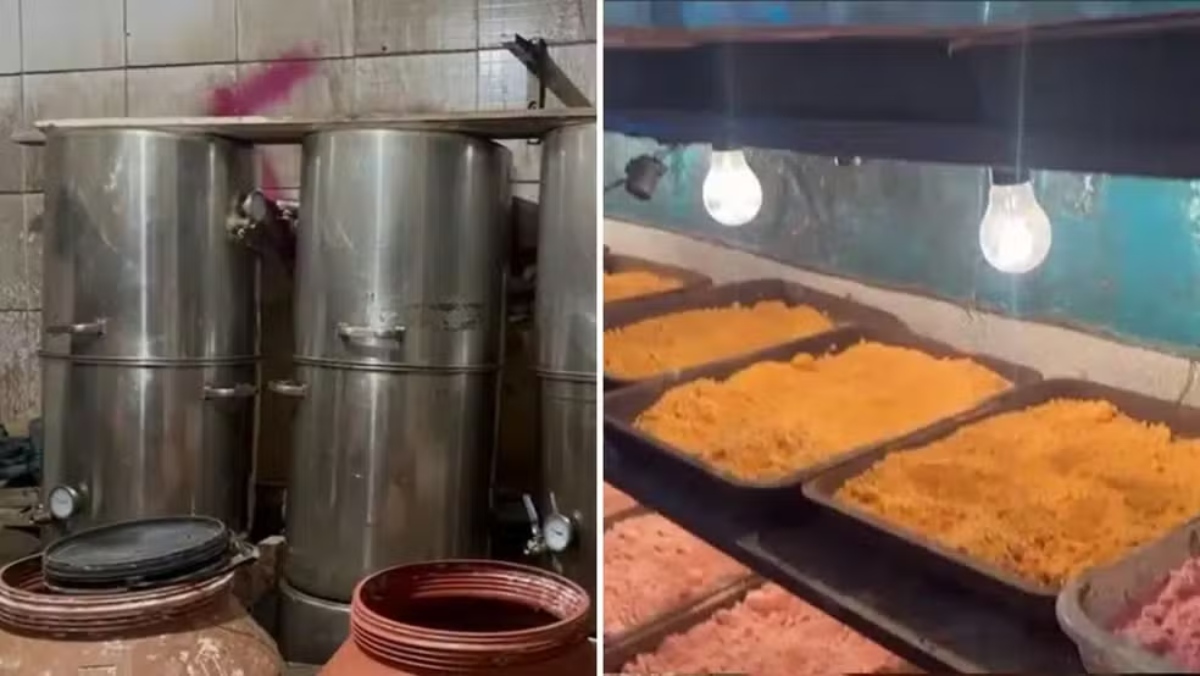 A perícia técnica constatou que o local estava equipado com estrutura profissional