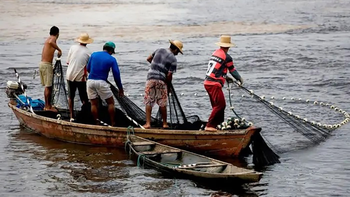 A crítica se amplia, conforme revela, com a crescente criação de zonas proibidas à pesca em todo o litoral brasileiro