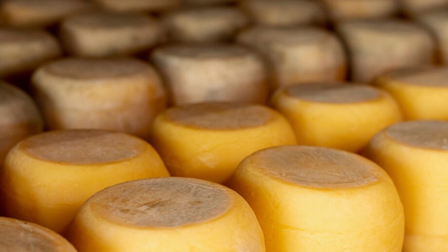 Os queijos Mandala e Costinha, produzidos na cidade, conquistaram medalhas de ouro