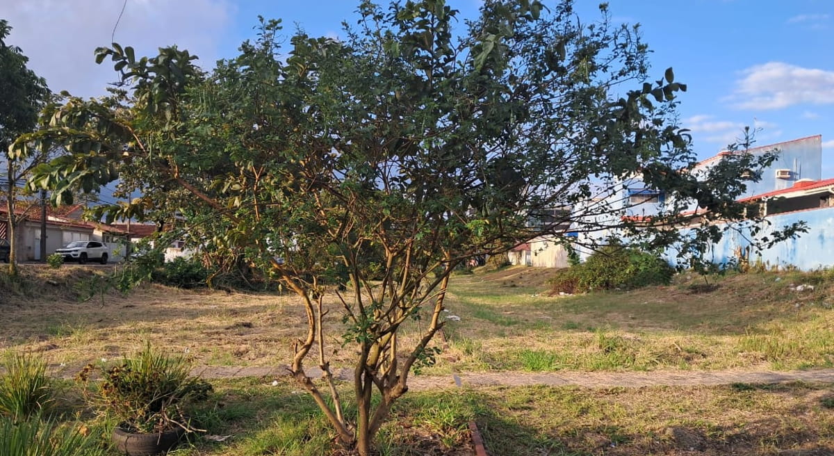 Em Peruíbe, os trilhos localizados nas passagens de nível foram cobertos pelo asfalto