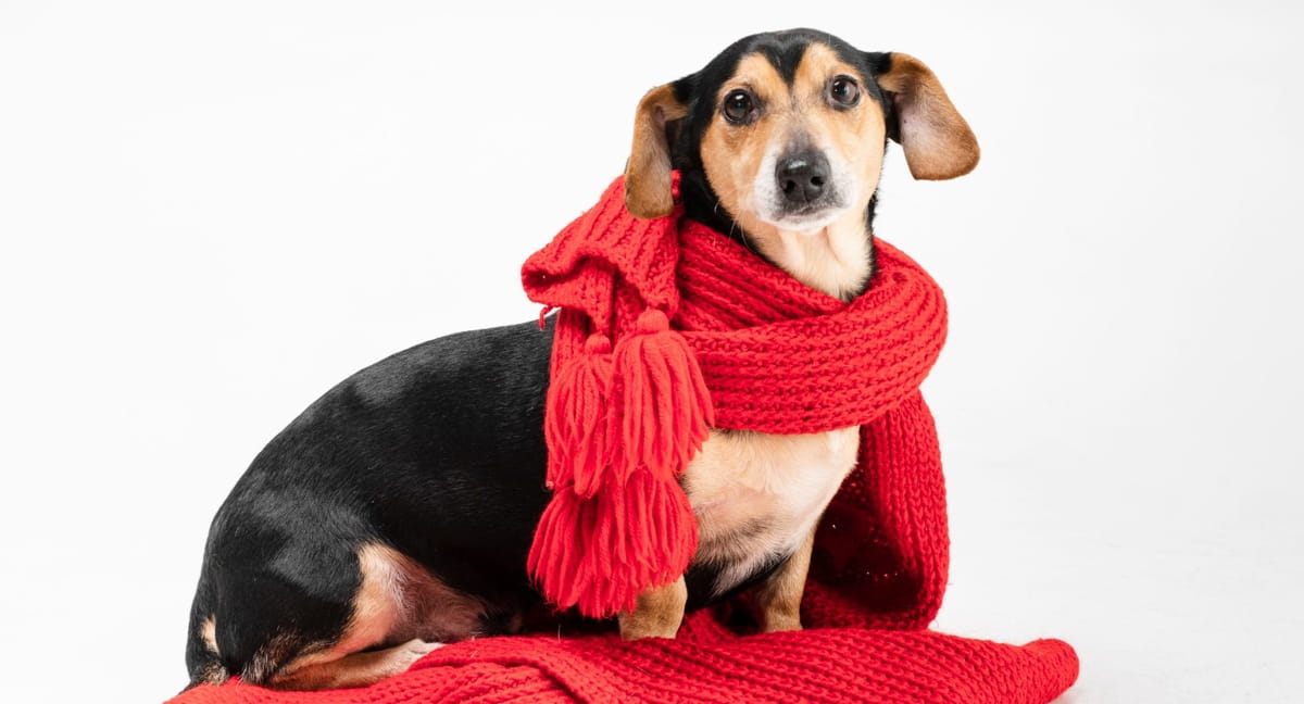 A programação completa, com horários e locais, é divulgada nas redes sociais oficiais da Prefeitura